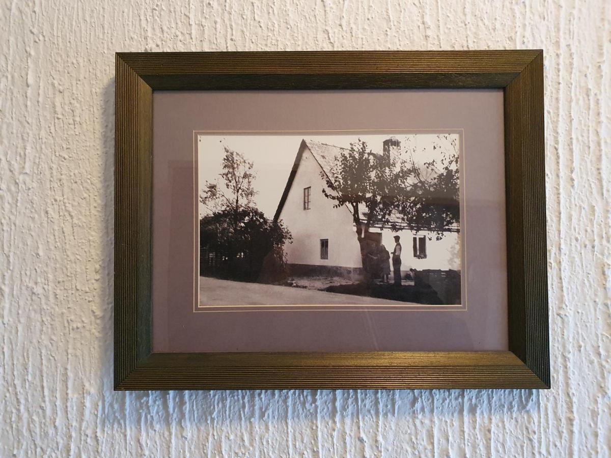 Apartma Cerknica Buitenkant foto